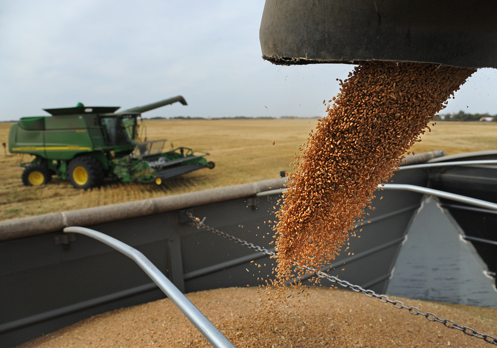 According to StatsCan’s Principal Field Crop Areas report released June 26, Canadian farmers planted an estimated 24.6 million acres of wheat in 2019, down 0.6 percent from 2018.  | File photo