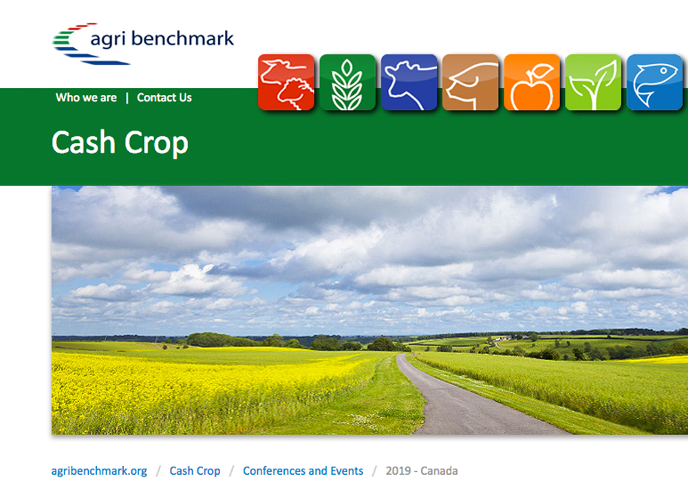 Although the decline is gradual, canola economics are worsening for most farmers, crop management experts said at an international conference.  | Screencap via agribenchmark.org
