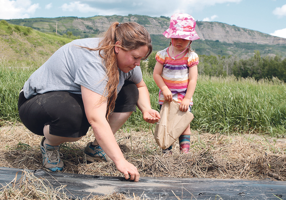 Kanda and Beth Gold participate in a pea planting event in early June.  |  Jeremy Simes photo