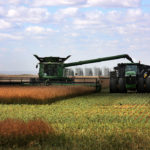 Canola was up slightly, with encouragement from U.S. soy markets. | Michael Raine photo