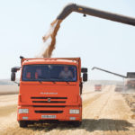 Combines load trucks with wheat last week during harvesting in a field near the village of Kamennobrodskaya in Russia’s Stavropol region. The country’s total wheat crop is forecast at 78 million tonnes, up from last year’s disappointing 71.7 million but still short of the bumper crop two years ago of 85.2 million. | Reuters/Eduard Korniyenko photo