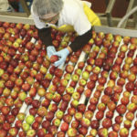 A new three-year Agri-Food Immigration pilot program will open 2,750 immigration spots per year for agriculture workers. | Barbara Duckworth photo