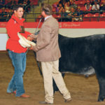 Braydon Thompson of Lloydminster, Sask., won the grand champion steer at the Calgary Stampede junior show. He accepts congratulations from judge Brigham Stewart of Kansas. | Barbara Duckworth photo