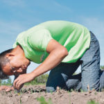 Alan Lee, a graduate student at the University of Alberta, is researching a project with the Peace Country Beef and Forage Association that looks to see if intercropping improves yield. | Jeremy Simes photo