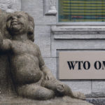 The best hope may be to convince the rest of the world of the need to revive and strengthen international institutions such as the World Trade Organization. | REUTERS/Ruben Sprich photo