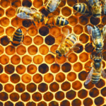 An entomologist told bee producers to be cautious about deadly chemical combinations. File photo. (date last used February 9, 2012)
