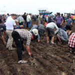 The GFM Discovery Farm is a 640-acre property dedicated to agricultural events and demonstration plots near Langham, Sask. | Robin Booker photo