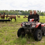 Nynke, left, and Lykele Miedema visit ther elk cows near Millet, Alta. | Maria Johnson photo