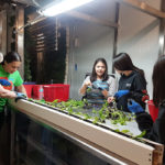 Horticulture students transplant romaine lettuce with President's Choice Children's Charity representatives. | Dene High School photos