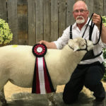 Richard Easton's Canadian Arcott was named the grand champion ran for that breed at the Grasslands All Canada Sheep Classic in Humboldt, Sask. | Glenda Jackson photo