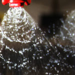 Letter outlines 16 countries complaints against EU over pesticide approach. | Michael Raine photo