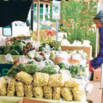 Freshly picked and bagged vegetables are a staple at farmers markets across the country. | Sarah Galvin photo