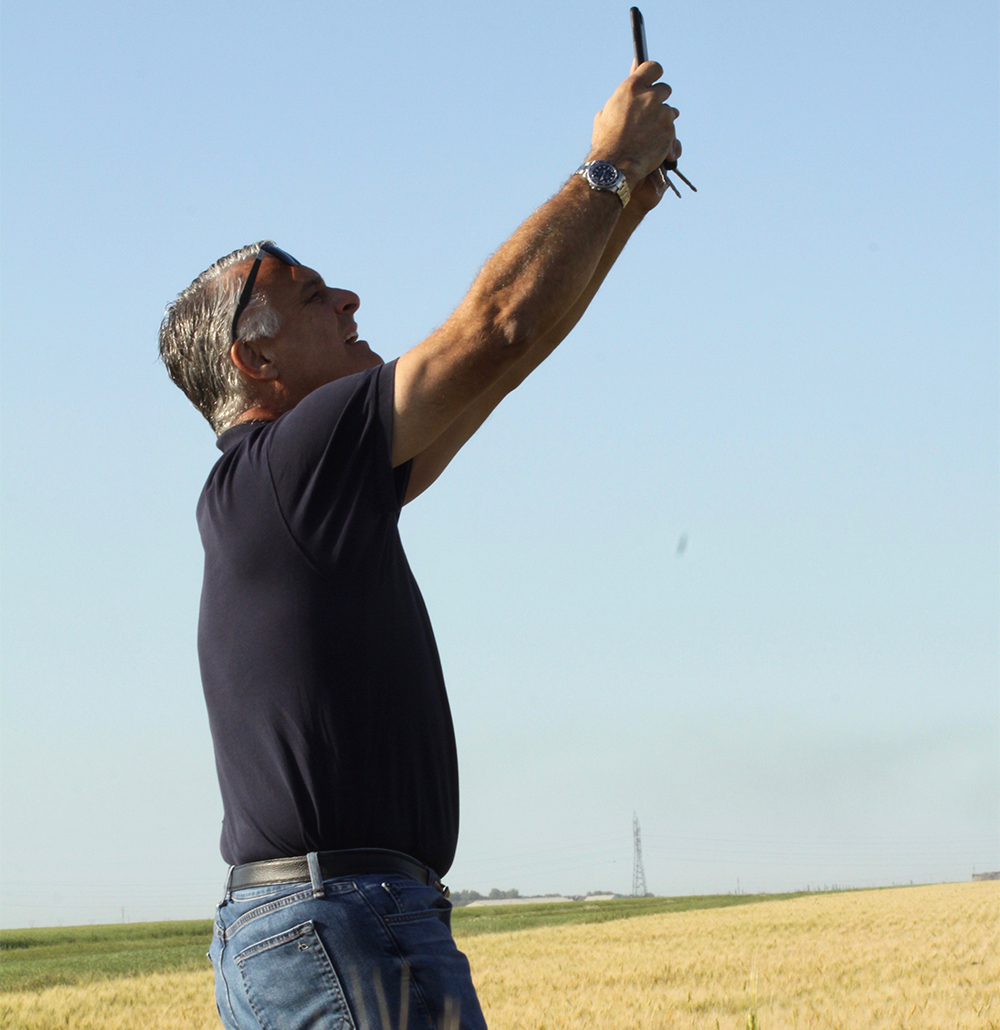 Robert Whyte, a vice-president with Ventura Foods, stretches to get the optimal photo of a wheat field near Winnipeg.  |  Robert Arnason photo