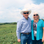 Randy and Sandra Radau own Coulee Crest Herefords near Bowden, Alta. The family has been in the purebred Hereford business for 75 years and added a commercial herd, which is grazing in the background. | Barbara Duckworth photo