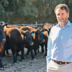 John Williams, director of the School of Animal and Veterinary Science’s Davies Research Centre at the University of Adelaide, has shown it is possible to breed cattle to reduce their methane emissions. | University of Adelaide photo