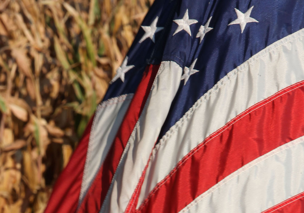 The U.S. corn harvest will be bigger than previously forecast, the U.S. Department of Agriculture  said on Monday. | File photo
