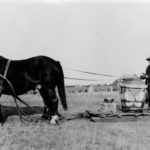 Violet McNaughton championed farm women’s rights, encouraging them to empower themselves and each other, and advocated for things like running water and sanitation. Here she is hauling water for the farm in the 1920s. | WP archive photo