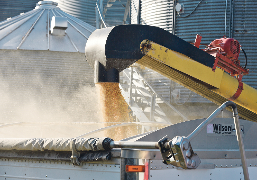 A load of Paul and Vanessa Kummer’s 2018 corn crop was being shipped from their farm near Colfax, N.D., last week. Analysts suggest the already-reduced average yield projected by USDA may go lower as the fall harvest season progresses.  |  REUTERS/Dan Koeck photo