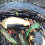 Eggplants come in a variety of shapes and sizes. The white eggplants have a thicker skin and firmer flesh. These must be peeled before using. Eggplants charred over hot coals acquire a smoky flavour. | Sarah Galvin photo