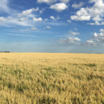 Over the last five years, or so, General Mills has committed to sourcing its major ingredients, like oats, wheat, sugar, from farmers who follow sustainable practices. | File photo