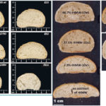 LEFT: Top left is a bread made from conventional wheat. Others are transgenic wheat lines lacking gliadins, with thelevel of reduction shown in percentage. The loaves are very similar to standard bread. The loaf in the lower-right is made from another wheat-gluten free alternative, rice flour. RIGHT: These loaves of bread were made from wheat flour, washed to remove all gliadins and glutenins. These were then supplemented with measured amounts high-molecular weight glutenins, the percentage shown in the images. | Clemson University images
