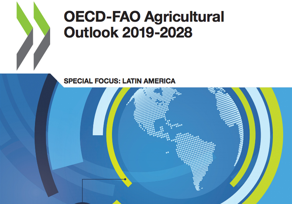 The 326-page 2019-2028 Agricultural Outlook was released in July. In it, economists from the OECD and FAO said the next decade could be difficult for farmers because of excess supply and slowing demand for agri-food commodities. | Screencap via oecd-ilibrary.org