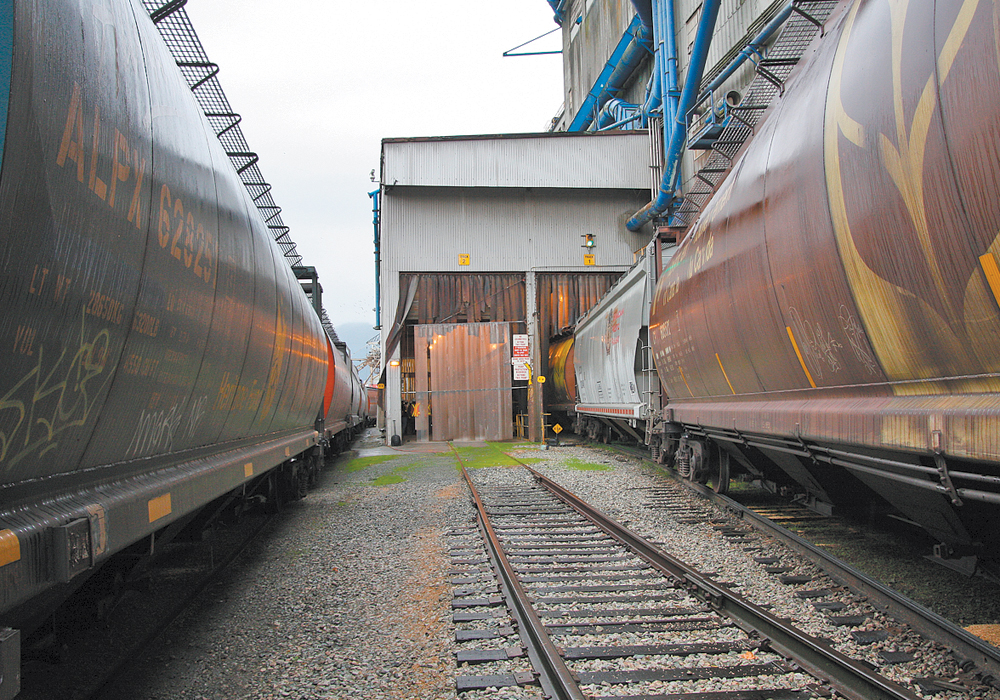 This year looks like it will be close to a record year for grain movement in Western Canada.  | File photo