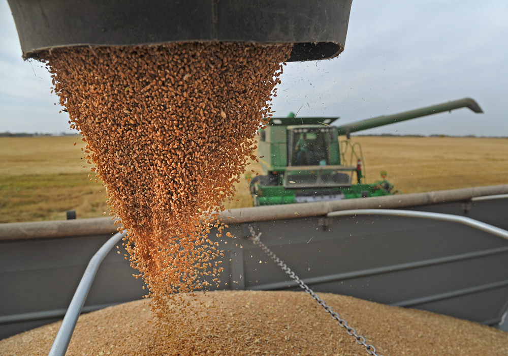 "At what point do you say this is absolutely ridiculous?" Stephen Vandervalk, Alberta farmer and vice-president of the Western Canadian Wheat Growers Association, asked. "Why would an industry (dairy) that has guaranteed income, a guaranteed market… (need financial support)?" | File photo
