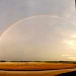 About 25 to 50 millimetres of rain fell on northwest, central and southwest Manitoba Aug. 24-25. The precipitation should aid the re-growth of pastures, which have been suffering and turning brown across the province. | Twitter/@Chantel14 photo