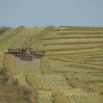 Canola production looked set to reach 18.5 million tonnes, down nine percent year over year, and below the average trade estimate of 18.9 million tonnes. | File photo