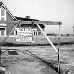 The devastating foot-and-mouth disease outbreak that rocked Saskatchewan in 1952 left a lasting legacy in this country. | File photo