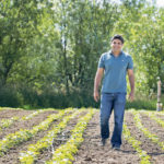 Ranveer Chandra, Microsoft Research’s principal researcher for Azure, who also heads the FarmBeats lighthouse project in the AI for Earth program, walks a test field at a farm in Carnation, Washington. | Microsoft photo