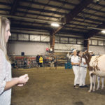 Lorna Hamming judges the 4-H dairy show at the Chilliwack Fair. A former member, she gives back to the organization by judging and helping at shows. | Barbara Duckworth photo