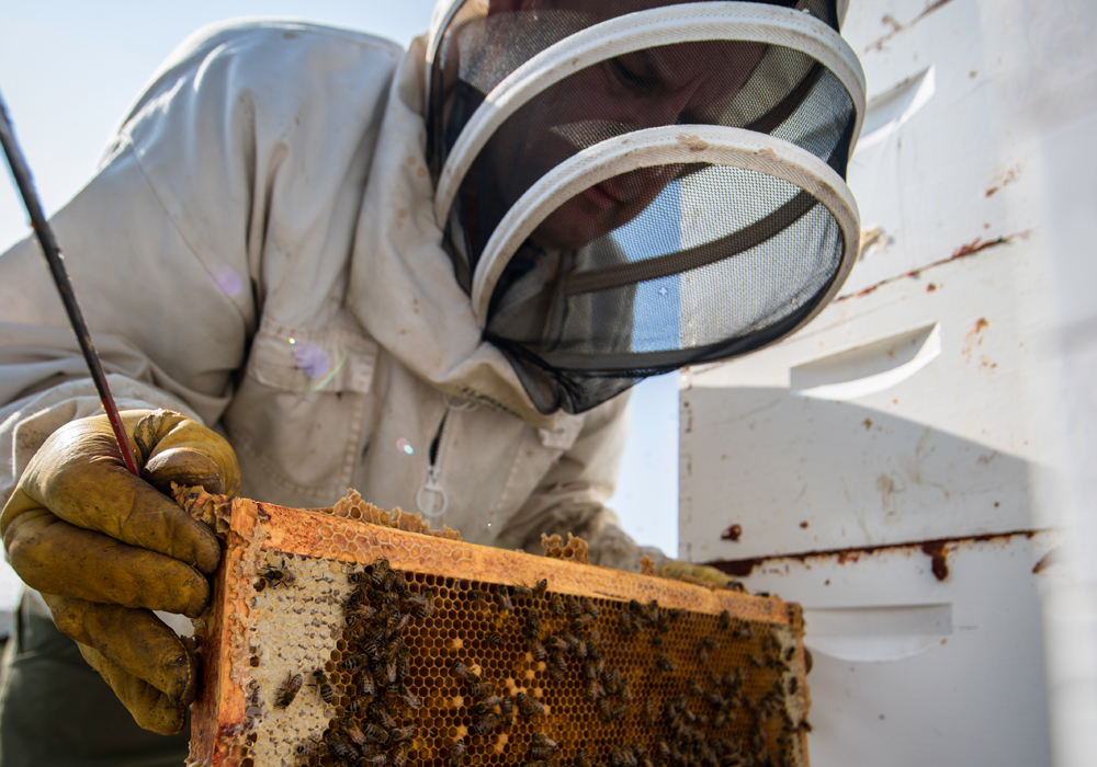 Richard Ozero of Good Morning Honey in the Edmonton region has been experiencing major losses in honey production this year. | Photo supplied by Richard Ozero
