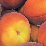 The sweet flavour of fresh summer peaches is worth waiting for. | Jodie Mirosovsky photo