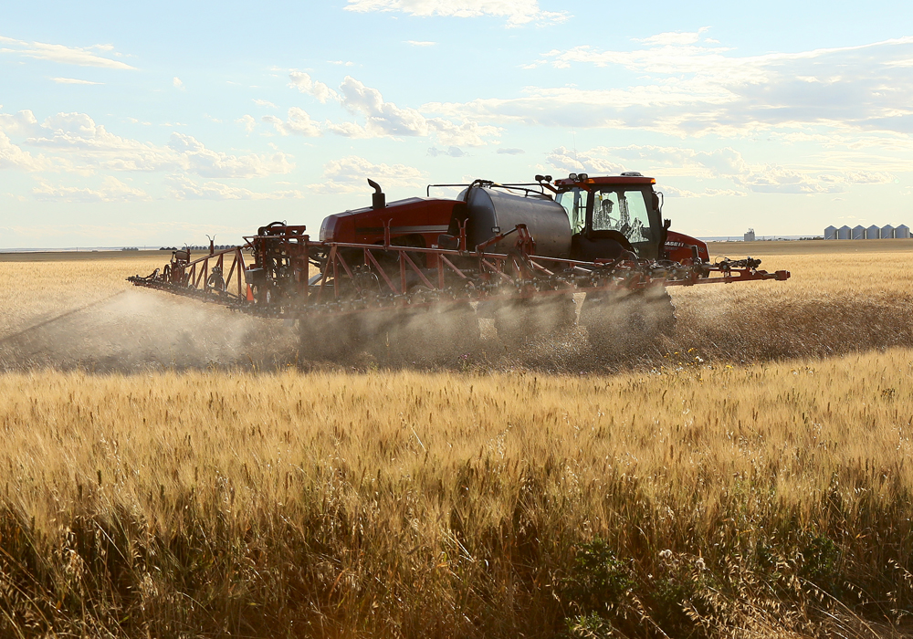 Crop specialists say producers will have to make sure all crops reach their maturity level before applying. If they apply too early, residues could end up in kernels and potentially jeopardize markets. | File photo