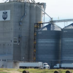 The Winnipeg-based company has reached a deal with Louis Dreyfus Commodities to acquire 10 Canadian-based facilities in Manitoba, Saskatchewan, Alberta and British Columbia. | File photo