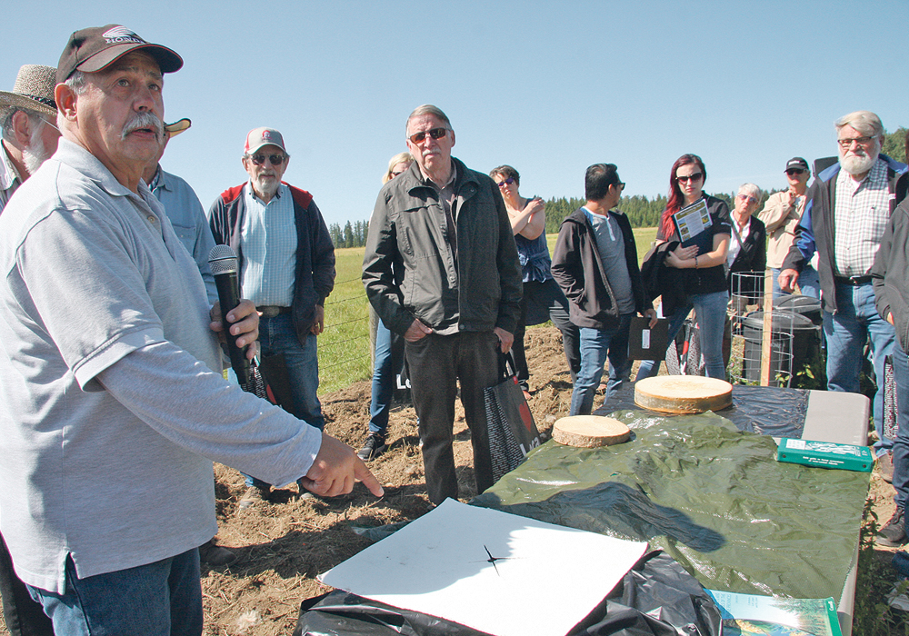 Noel St Jean of the Agroforestry and Woodlot Extension Society shows the different kinds of mulch that may be used to protect tree seedlings when they are first planted in a shelter belt. The covers keep out weeds and hold moisture.  |  Barbara Duckworth photo