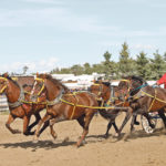 Tracey Stott of Olds, Alta., races her team across the finish line during the Alberta Professional Chuckwagon and Chariot Association races in Bashaw, Alta. | Mary MacArthur photo