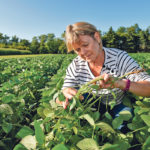 Vanessa Kummer checks the soybeans on the farm she and her husband Paul own near Colfax, N.D. | REUTERS/Dan Koeck photo