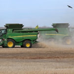Canada is taking the first formal step at the World Trade Organization to challenge China's decision to block Canadian canola exports.| Robin Booker photo
