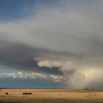 More than 10,000 claims have been made so far and about 7,000 of them have come from Saskatchewan. Last year, about 11,000 claims were filed. | File photo