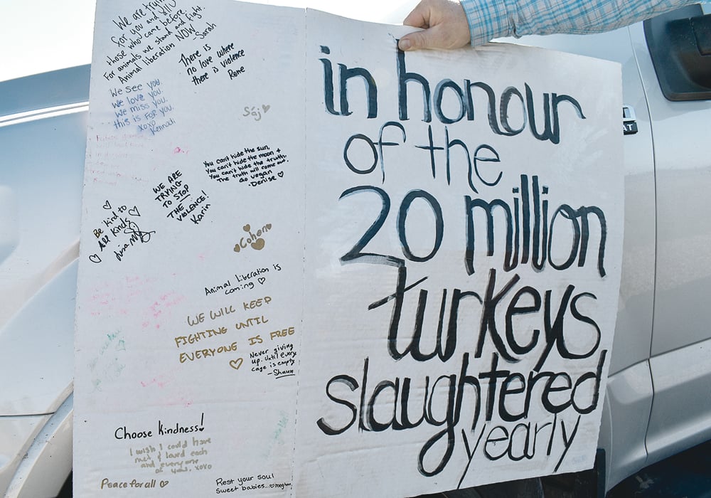 Protesters left behind one of the signs they held during a Sept. 2 protest at the Fort Macleod turkey operation.  |  Barb Glen file photo