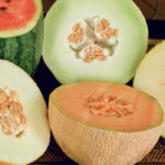 A variety of melons, clockwise from top left, include watermelon, honeydew, Santa Claus, cantaloupe and canary. | Sarah Galvin photo