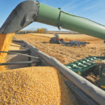 Using a combination of satellite imagery, previous survey data, and agro-climatic data, the latest Statistics Canada report pegged Canada's 2019/20 corn crop at 14.1 million tonnes. That compares with the August estimate of 13.6 million tonnes and the 13.9 million tonne crop grown the previous year. Average corn yields across the country were pegged at 153.6 bushels per acres. | File photo