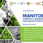 Leaders of the Manitoba Corn Growers Association, the Manitoba Flax Growers Association, the National Sunflower Association of Canada, Winter Cereals Manitoba and the Manitoba Wheat and Barley Growers Association have been formally talking about a merger since 2017. | Screencap via mbcrops.ca