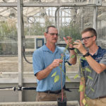 Dr. Patrick Tranel, left, works with University of Illinois graduate student Jacob Montgomery, who co-authored the research paper that compared male and female Palmer amaranth plants in the greenhouse. | University of Illinois photo