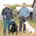 Marilyn and Dwaine Haughian, owners of Gunworth Kennels and Hunt Farm near Asquith, Sask., bought their 320 acre property in the late 1990s and have been hosting hunting groups for more than 20 years. They also raise and train Labrador Retrievers. | Brian Cross photo