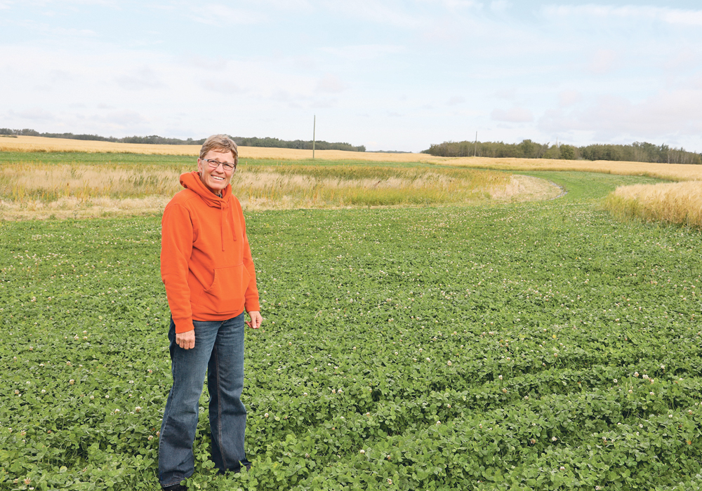 Brenda Bohmer of Bawlf, Alta., stands in a newly seeded perennial strip between an existing wetland and her grain field. The plan is to let the wetland refill and then plant trees around the wetlands.  |  Mary MacArthur photo