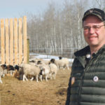 Former NDP MLA Tom Nevakshonoff says the party has strayed too far from its traditions and no longer appeals to ordinary Manitobans. | File photo
